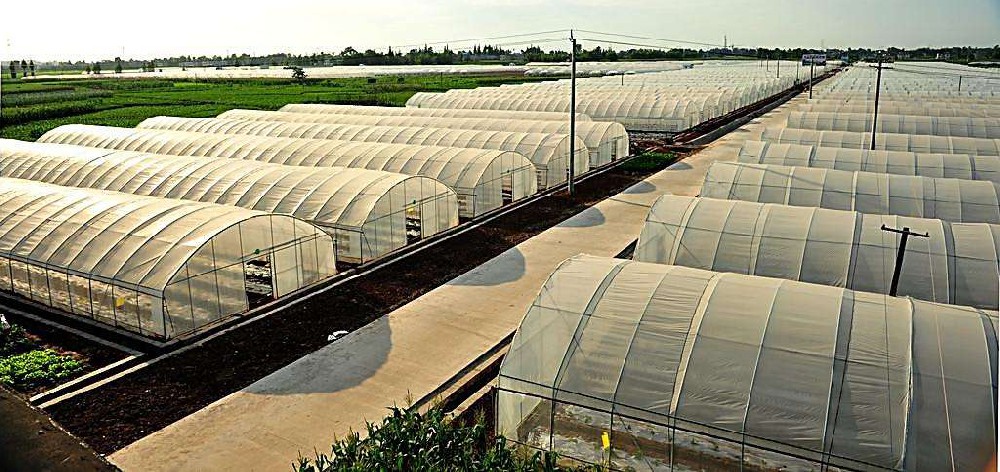 方矩管在溫室大棚中的應(yīng)用